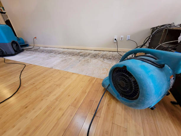 Professional Water Damage Repair technician working in Seltzer, PA